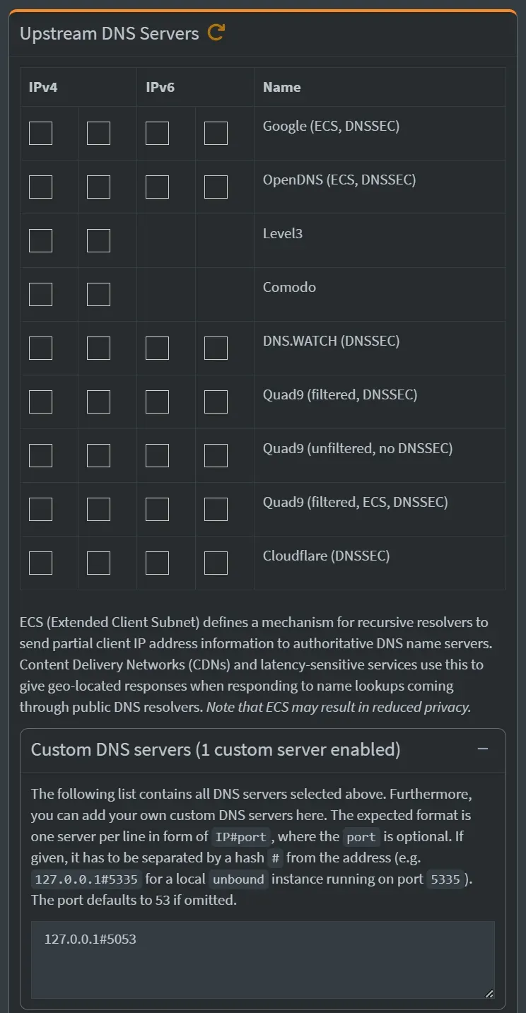 Pi-Hole DNS settings.