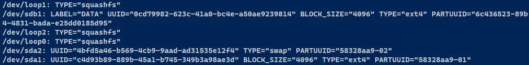 Output of blkid command